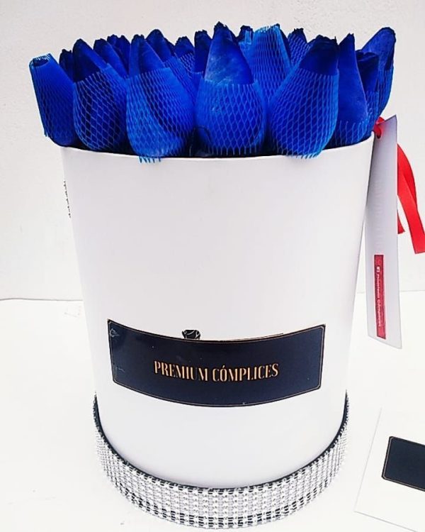 CAJAR CIRCULAR-ROSAS AZULES-ROSAS AZULES PARA REGALO