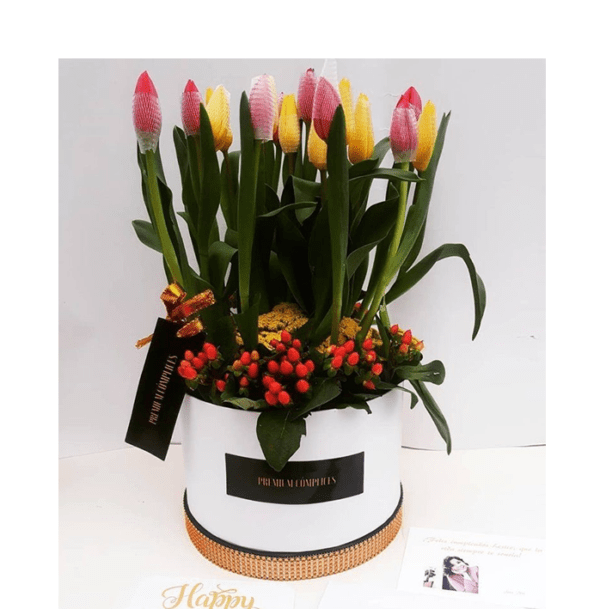 Tulipanes Premium para una reyna