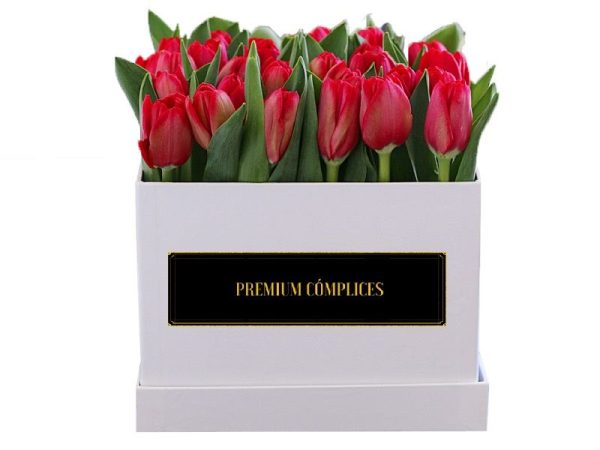 BOX CUADRO DE TULIPANES BOX DE TULIPANES - CAJA DE TULIPANES PREMIUM