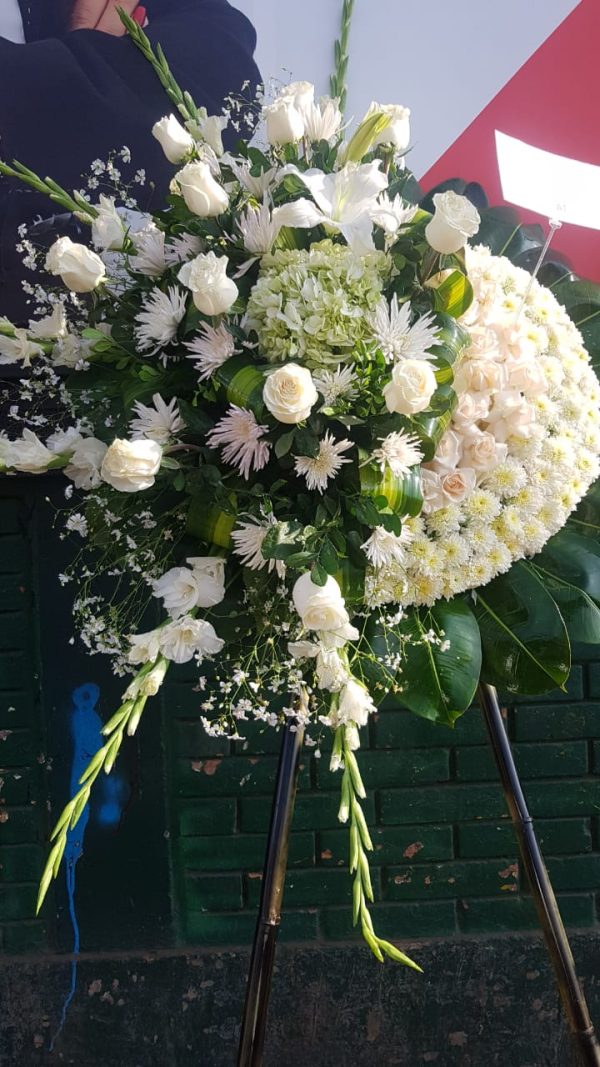 WhatsApp Image 2020-01-16 at 13.43.58 WhatsApp Image 2020-01-16 at 13.43.58