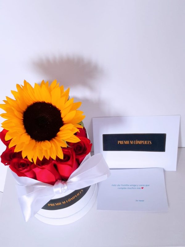 982ee62f-0e2c-4f17-b1ee-e6ed2abb4ec3