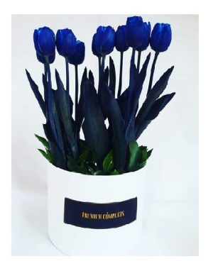 Tulipanes Azules premium