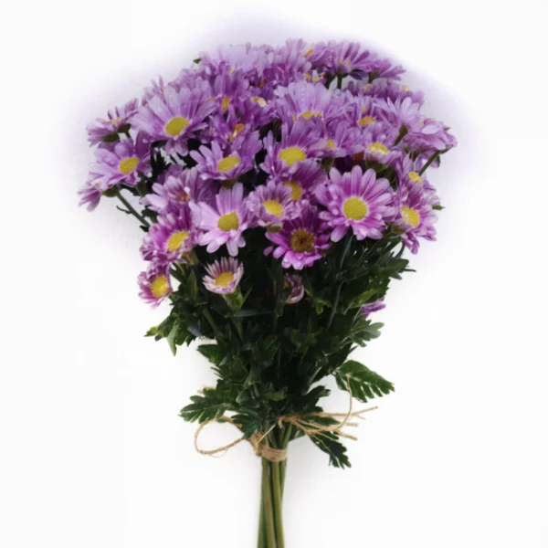 Margaritas Lilas-Moradas en Ramo