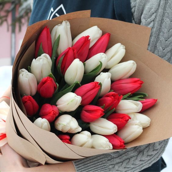 Ramo de 20 Tulipanes Premium Bi Color - Floristería Cómplices