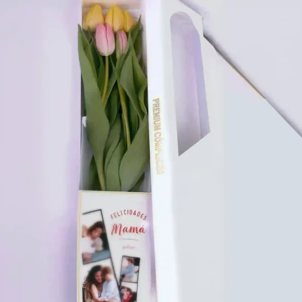 5 Tulipanes Premium Selectos en Caja Larga