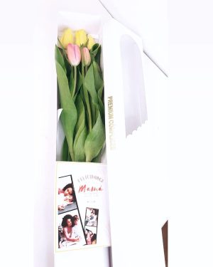 5 tulipanes en caja Larga