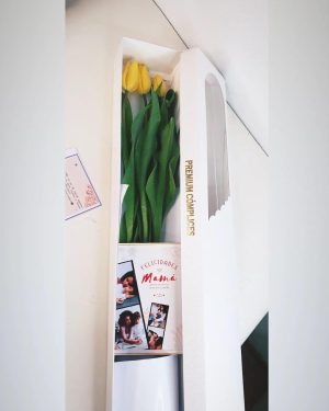 3 tulipanes premium en caja Larga