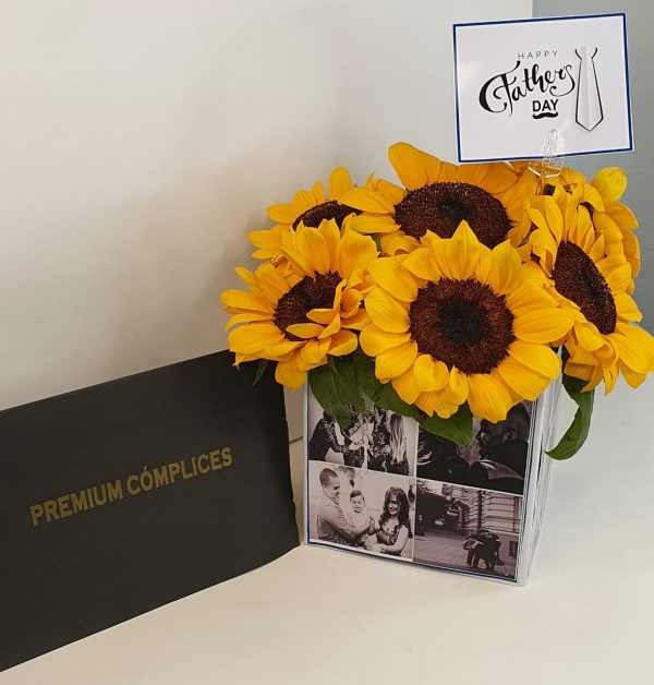 girasoles caja de fotos