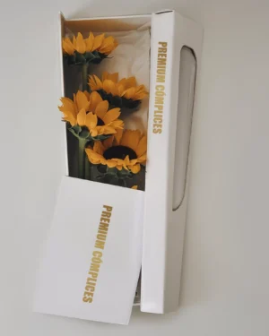 CAJA LARGA DE 4 GIRASOLES PREMIUM