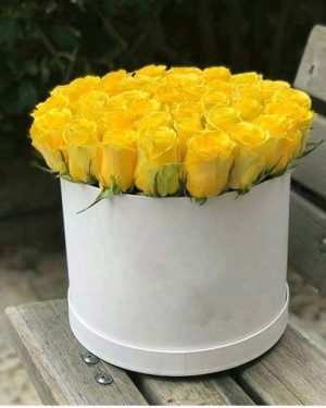 Box de 24 rosas amarillas - caja de 24 rosas amarillas