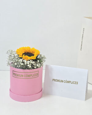 BOX PREMIUN DE UN GIRASOLES