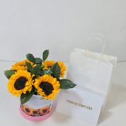 BOX DE GIRASOLES