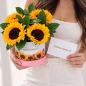 GIRASOLES PRIMAVERALES