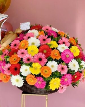 GERBERAS