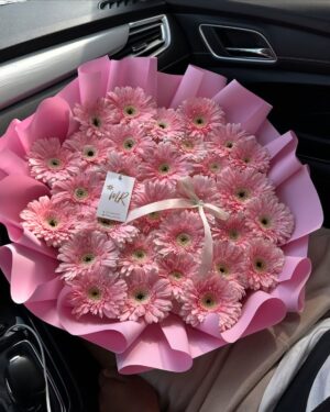 GERBERAS PREMIUM CÓMPLICES